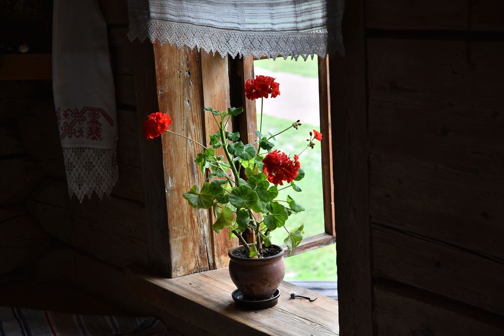 Photograph by Максим