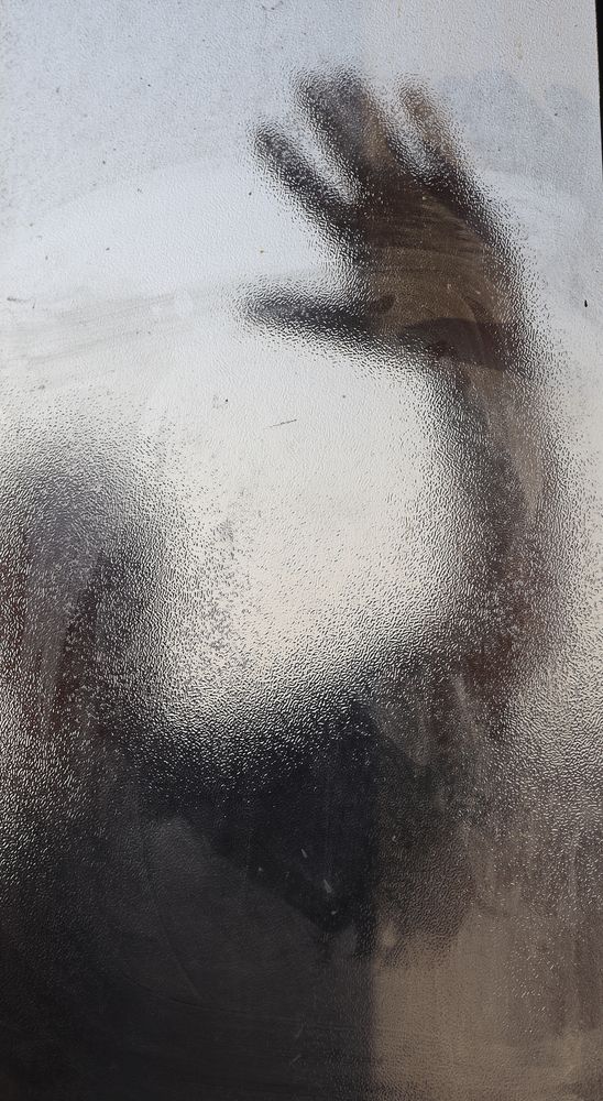 Photograph by Hamidreza zakeri