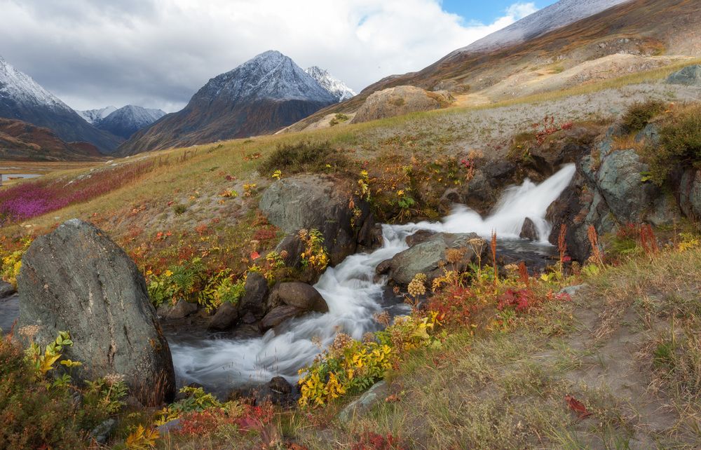 Фотография автора Сергей Молоков