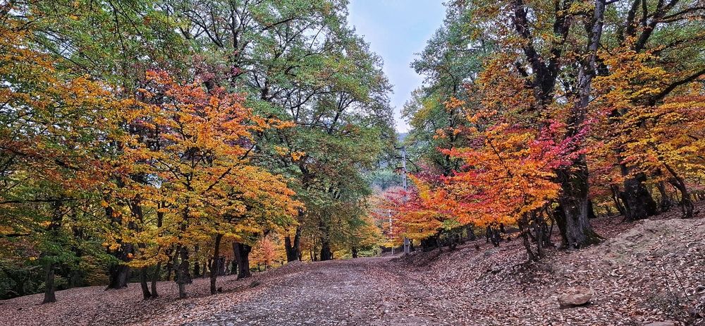 Photograph by Ahmad Yazarloo