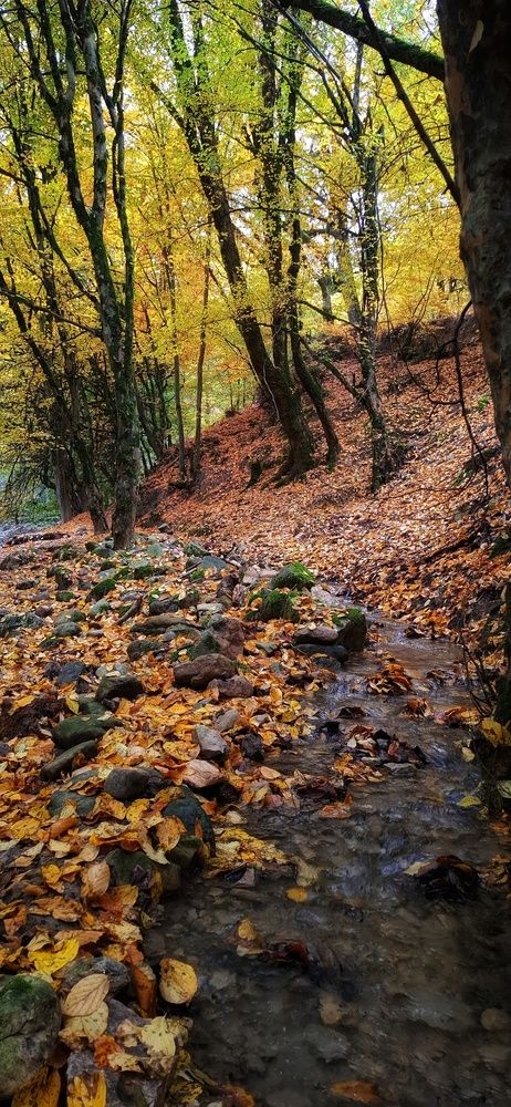 Photograph by Ahmad Yazarloo