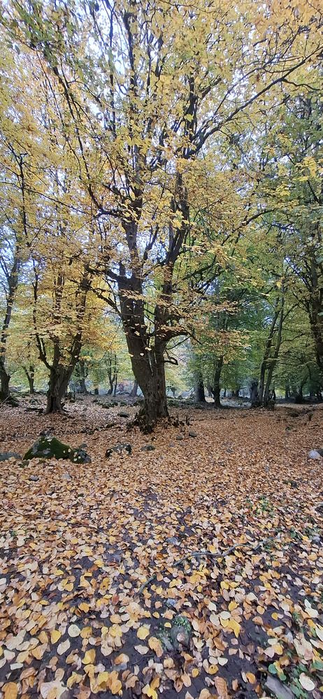 Photograph by Ahmad Yazarloo