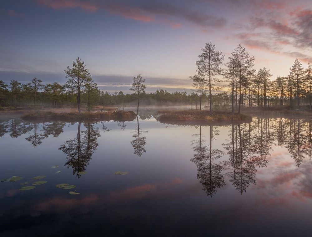 Photograph by Ivan Glinskiy
