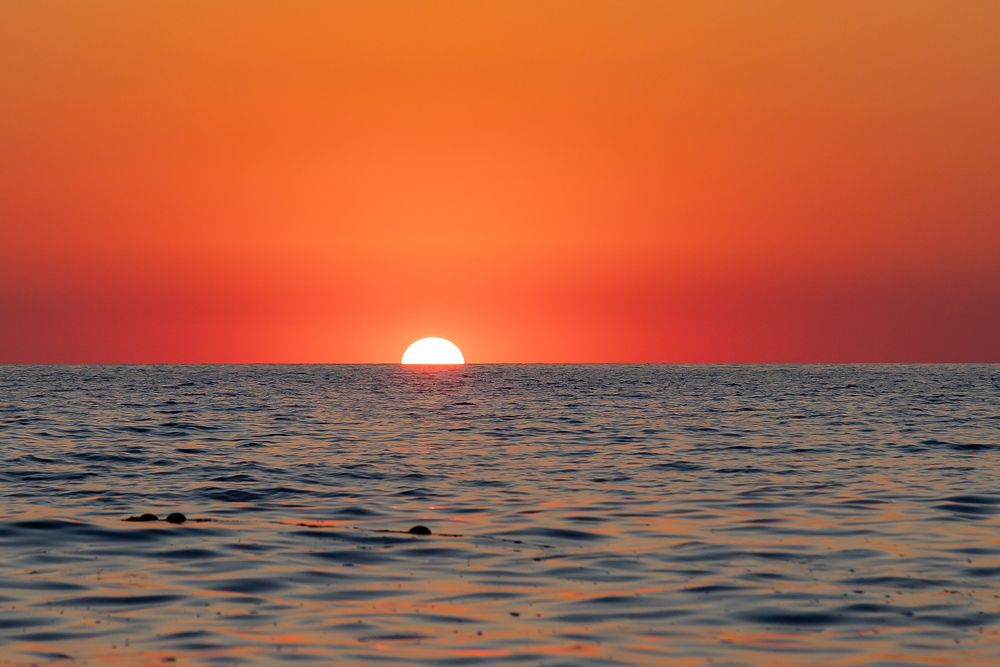 Photograph by Михаил Корнеев