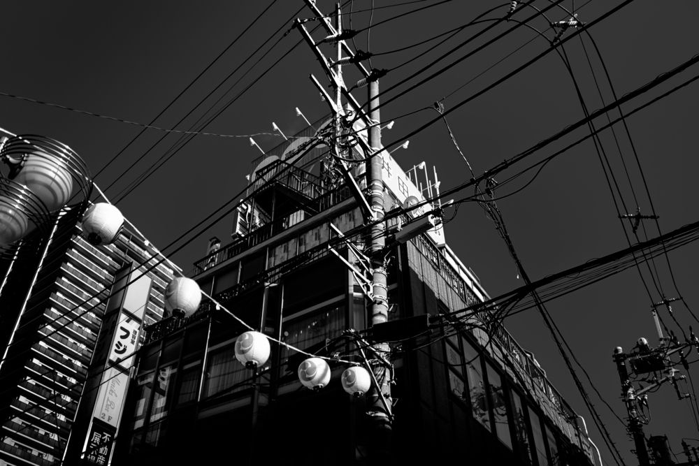 Photograph by Endo Motoki