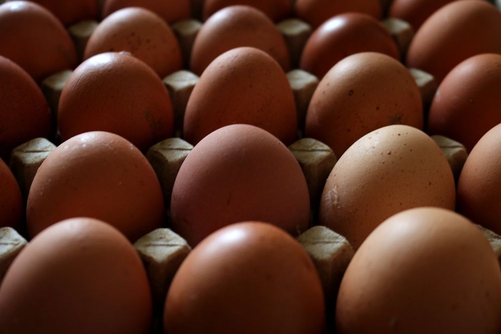 Photograph by Наталья Клячина