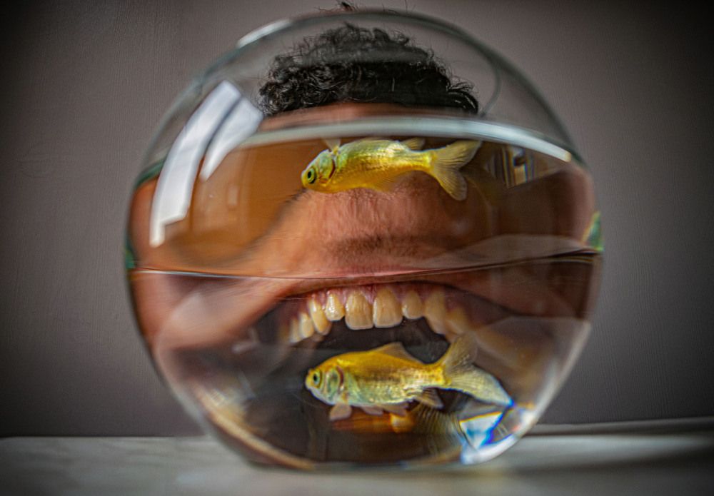 Photograph by pooya farhoodi