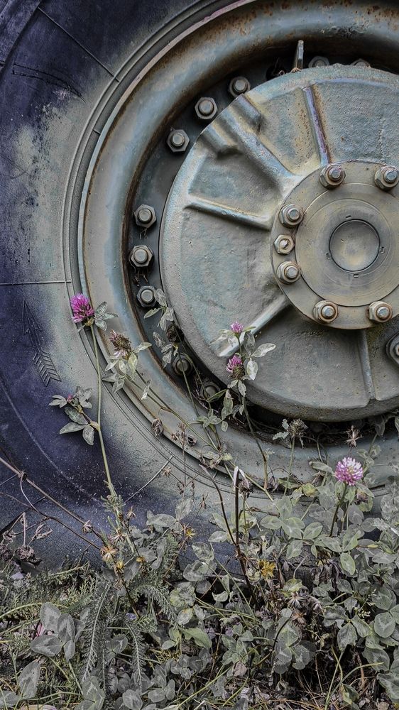 Photograph by Eugenia Blinova