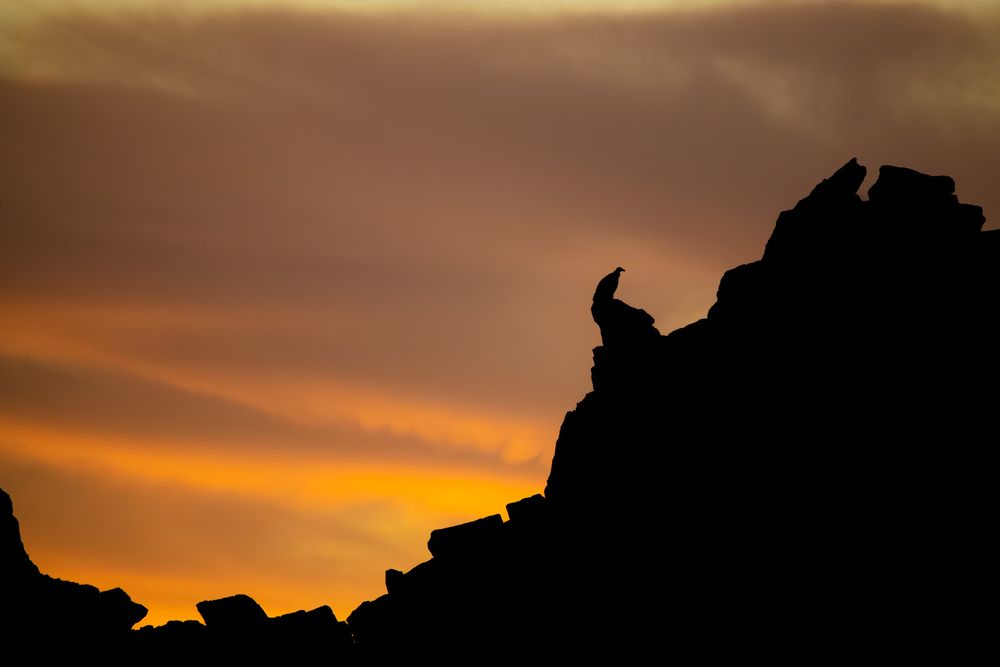 Photograph by alvaro berben marin