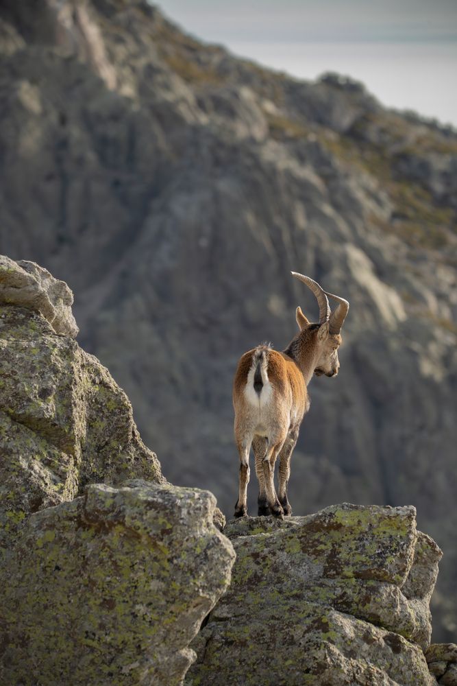 Photograph by alvaro berben marin