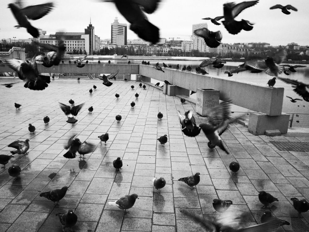 Photograph by Серпов Алексей