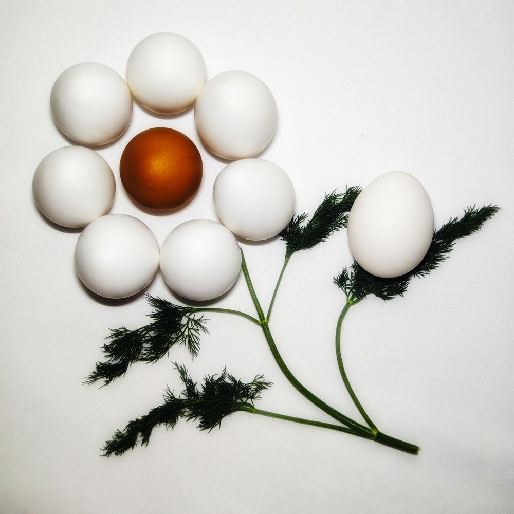 Фотография автора Наташа Данилова