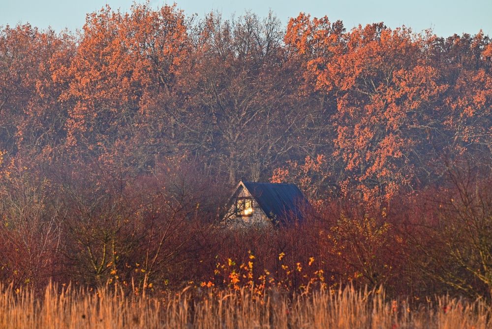 Photograph by Сергей Немцев