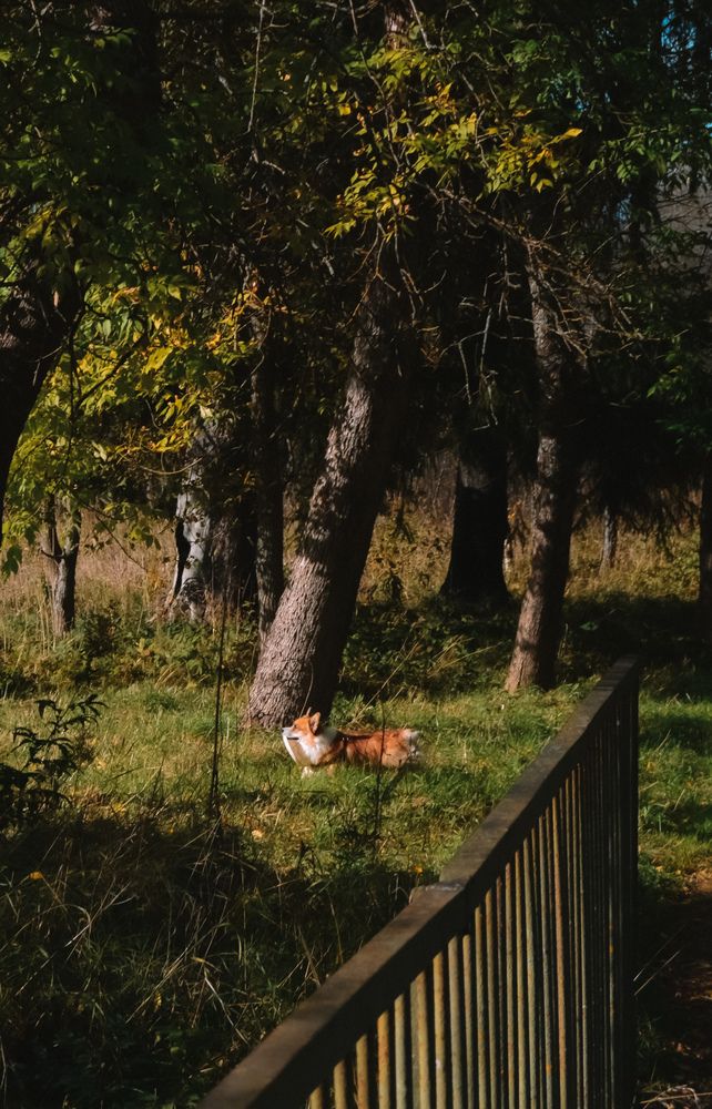 Photograph by Юлия Ханналайнен