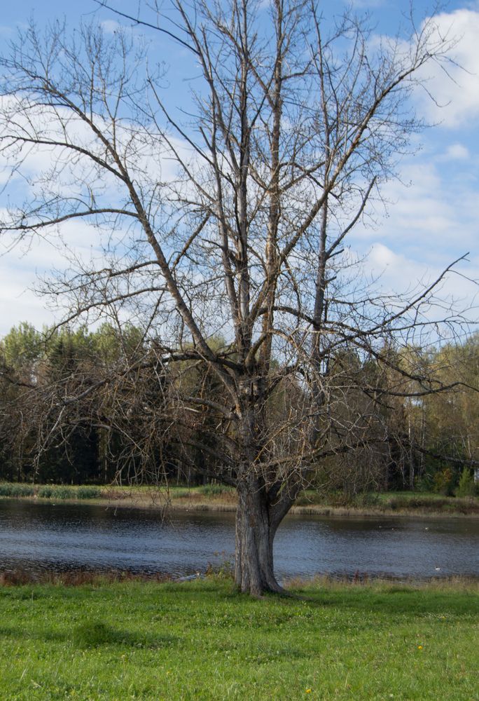 Photograph by Юлия Ханналайнен