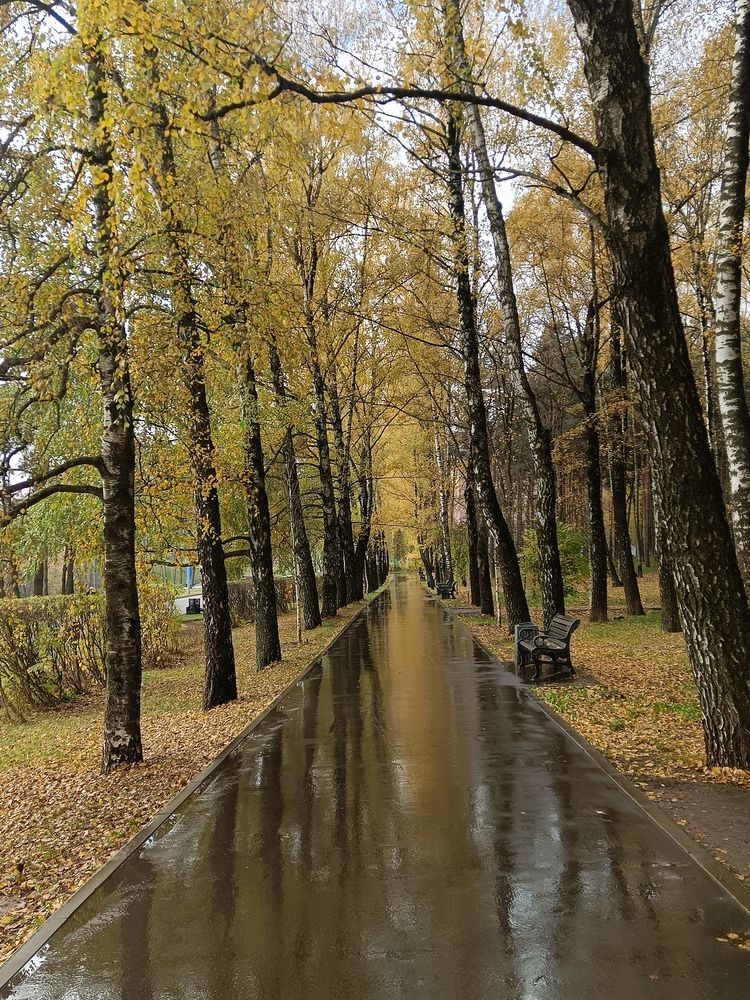 Фотография автора Роман Зотов