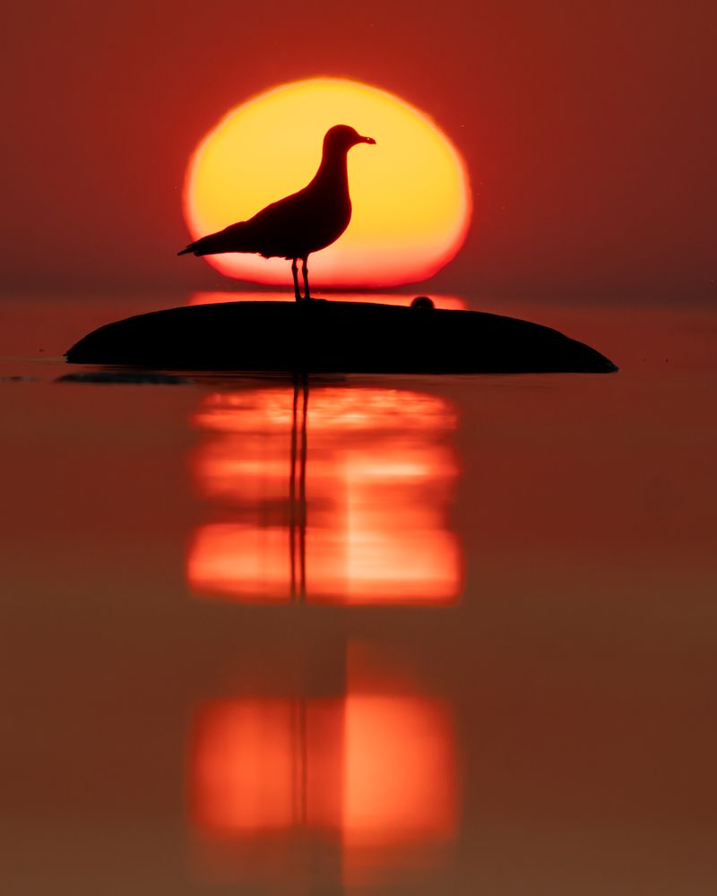 Photograph by Ruslan Pl