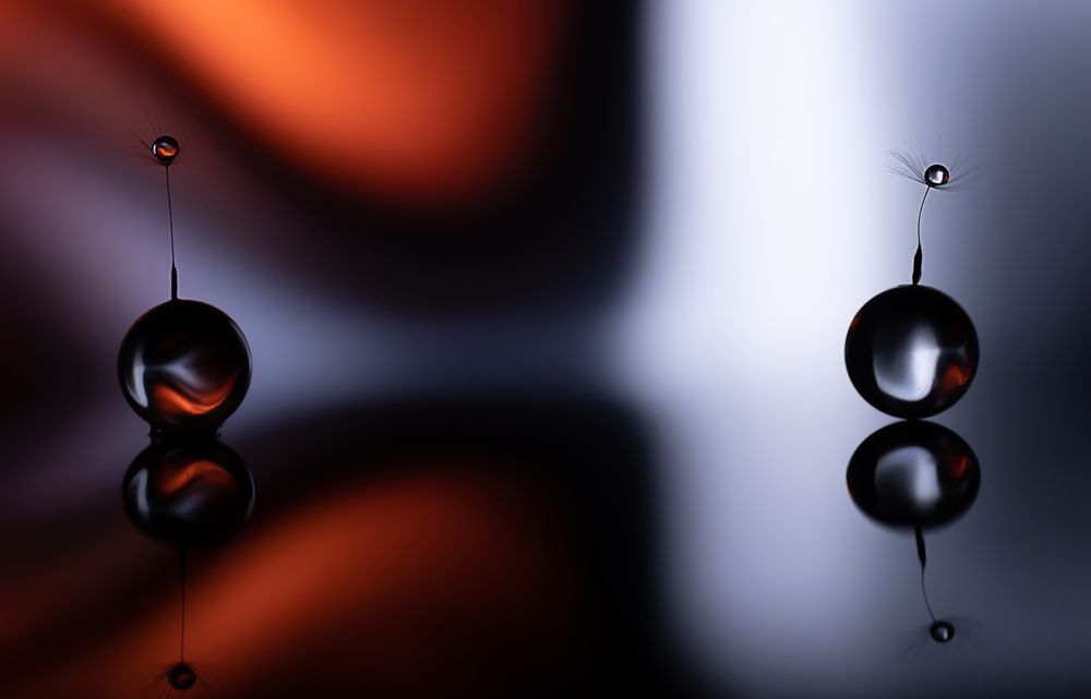 Фотография автора Обидина Мария