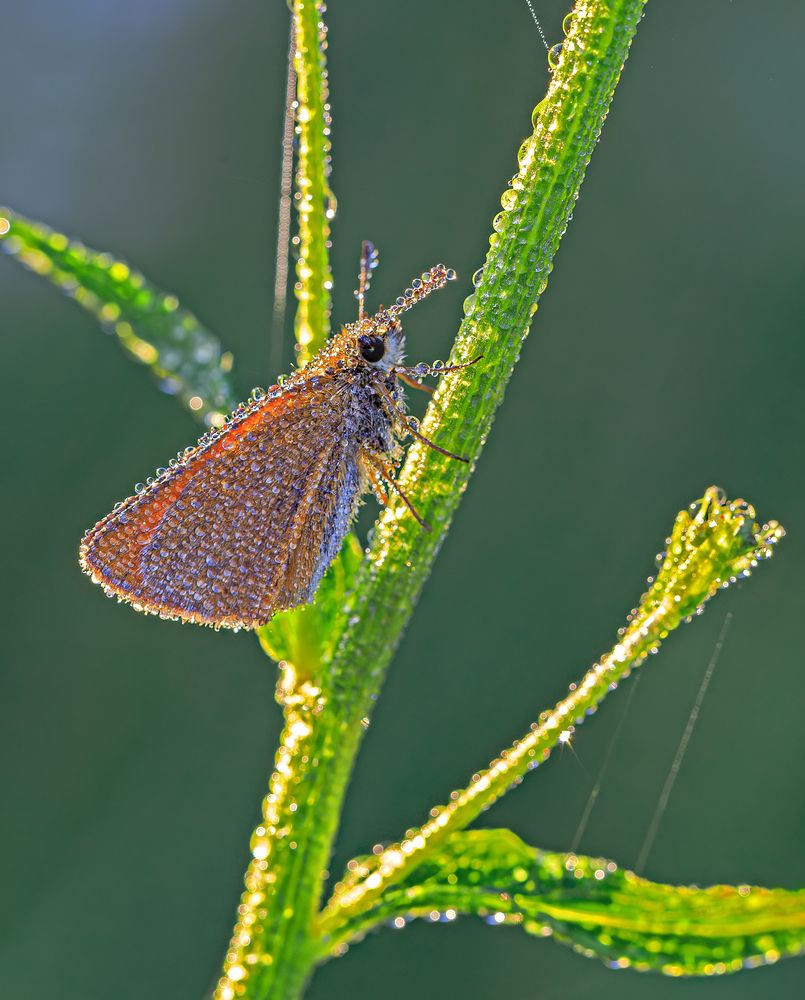 Photograph by Борис Новиков