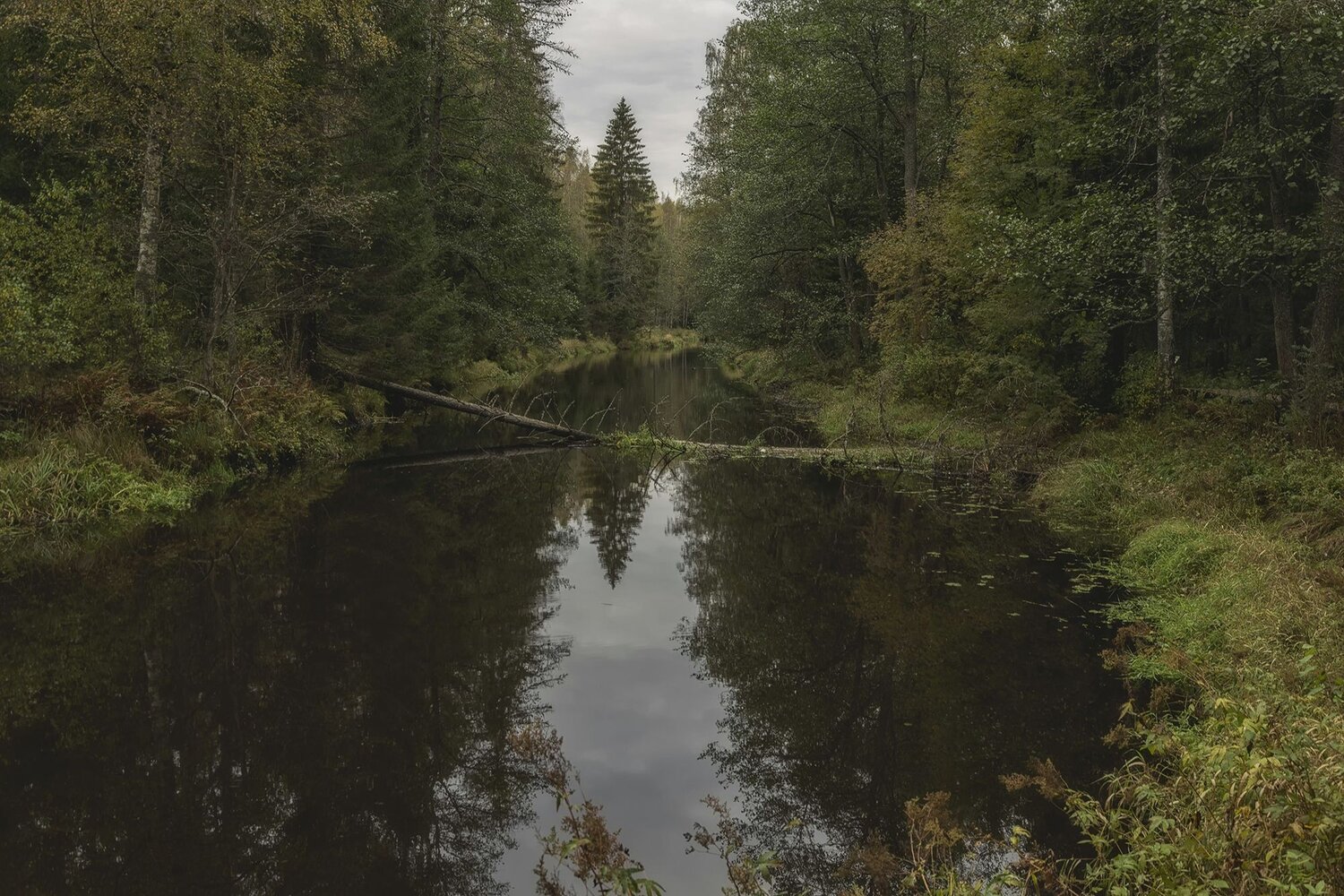 Photo #12935941