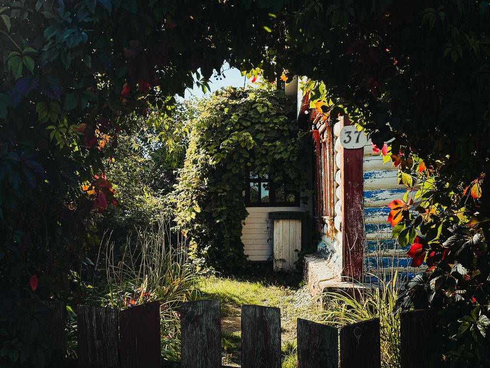 Photograph by Aleksandr Dolzhenko