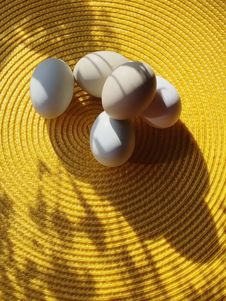 Photograph by Ия Дирко