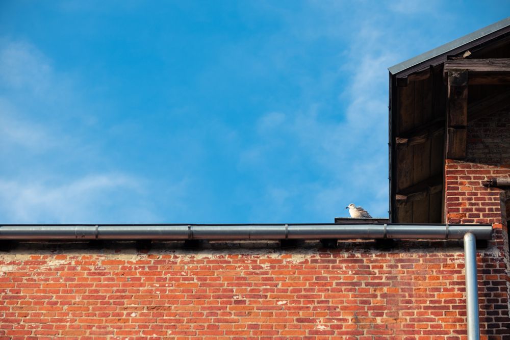 Photograph by  Kotik photo