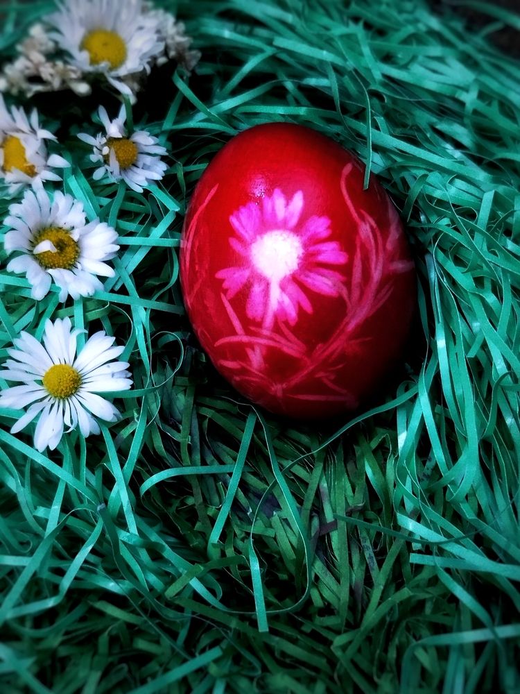 Фотография автора JELENA VASIC