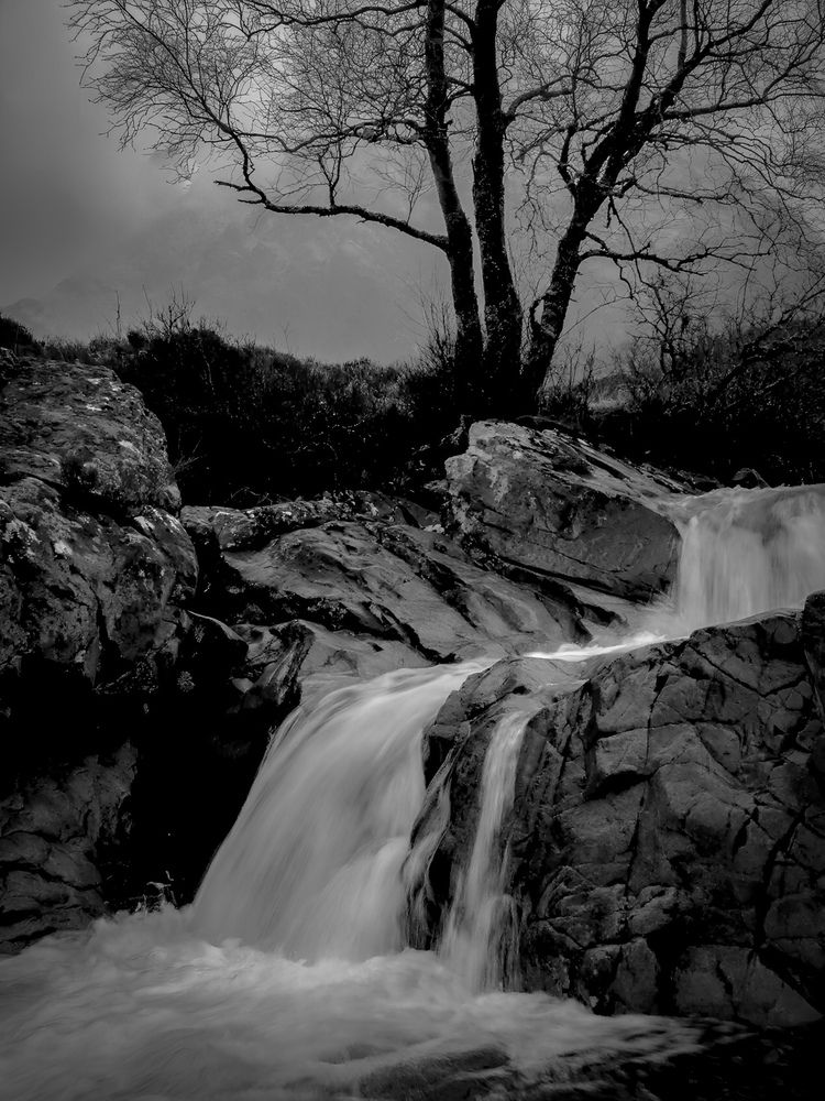 Photograph by Michael Gault