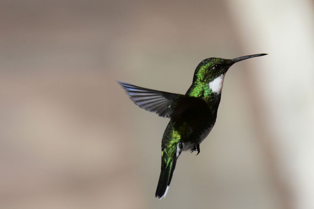 Photograph by Walter Fabián Gutiérrez