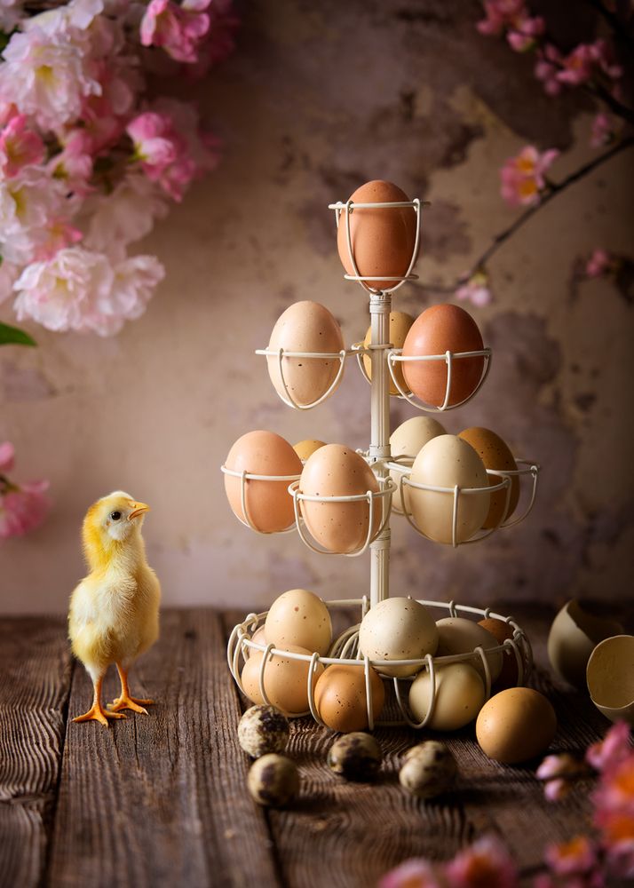 Photograph by Guido Frazzini