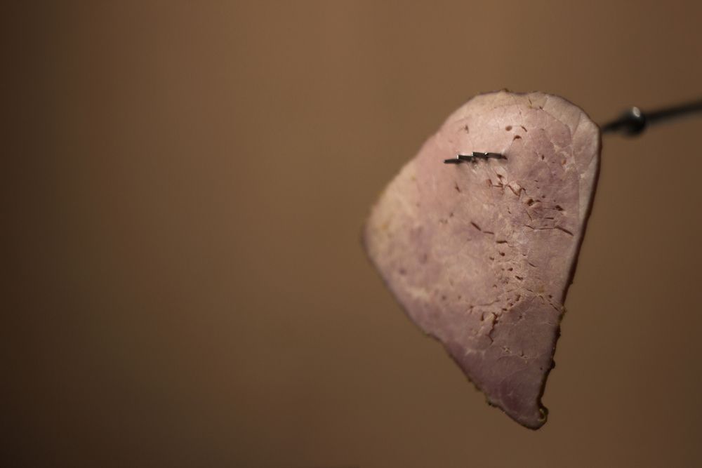 Photograph by Aleksey Mordyashov