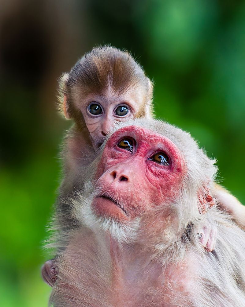 Photograph by Abhishek Pradhan