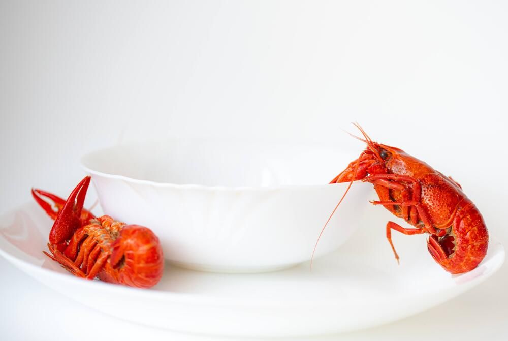 Photograph by Ксения Шилина