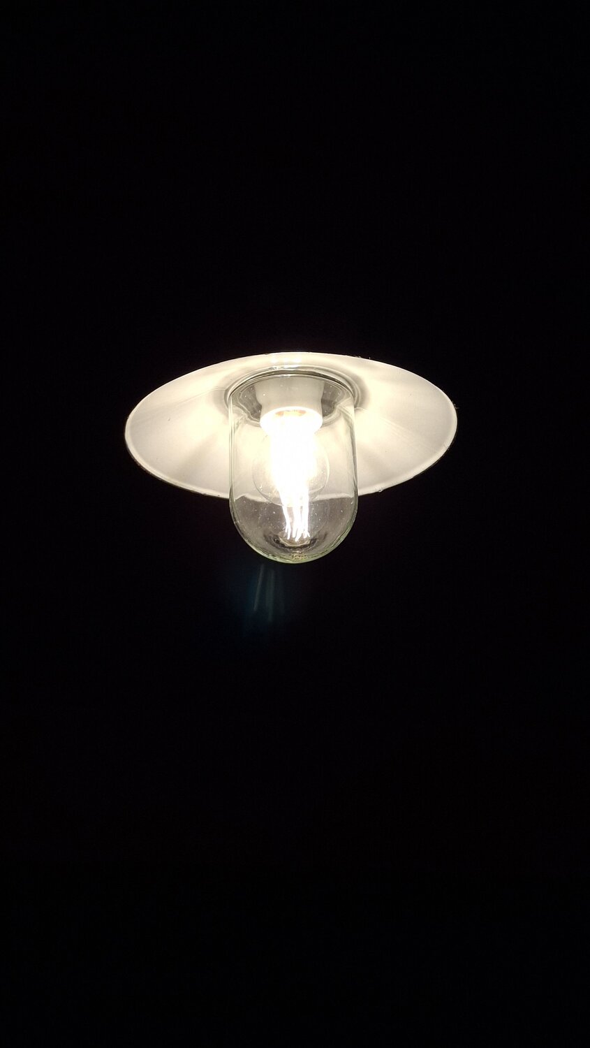 Photo #12936638