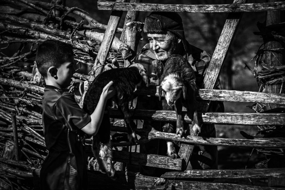 Photograph by Reza Zanganeh