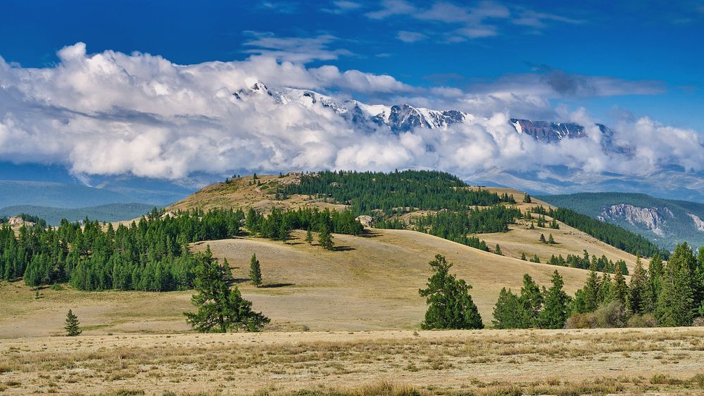 Photograph by Александр Потапов