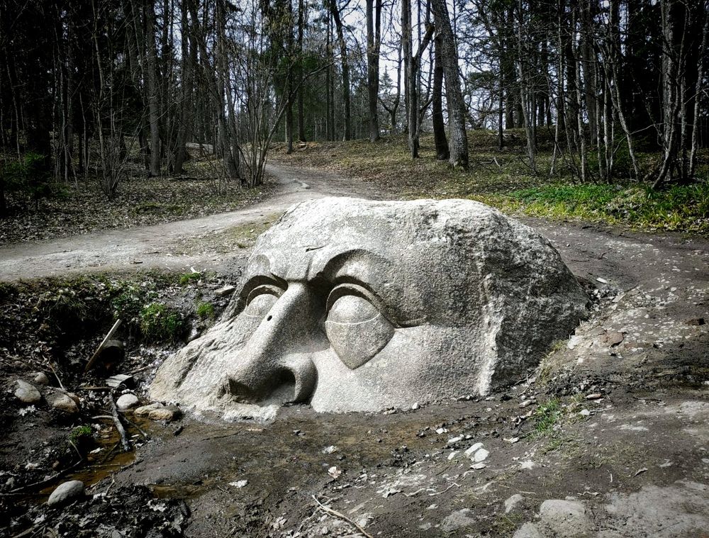 Photograph by Ольга Рыбина