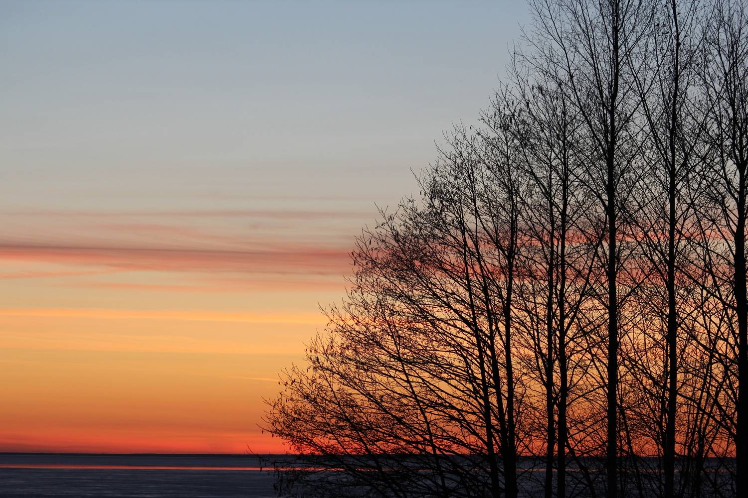 Photo #12937074