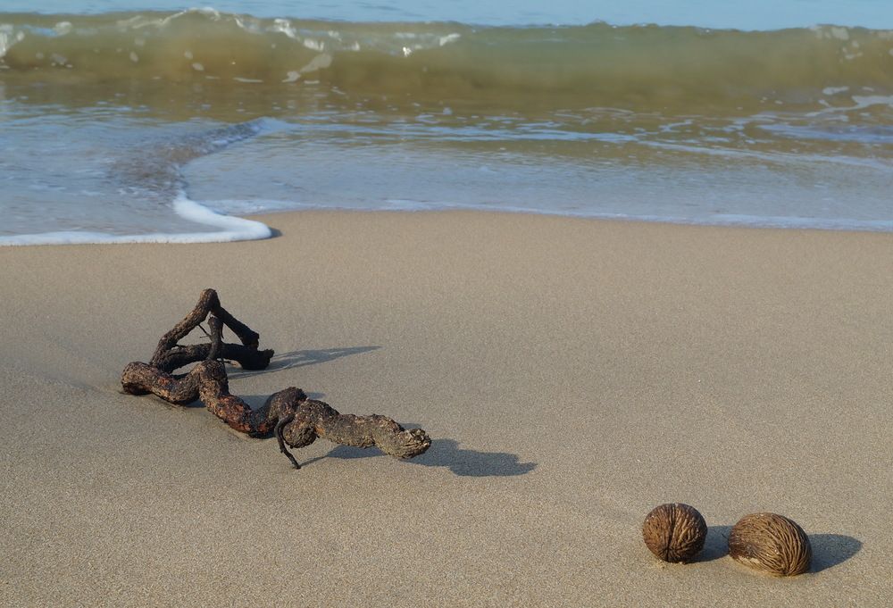 Photograph by Галина Кан