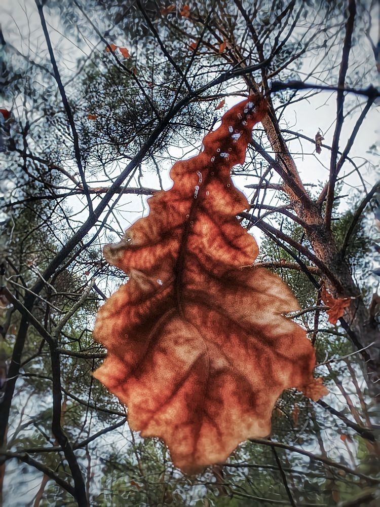 Photograph by Куделенко Оксана