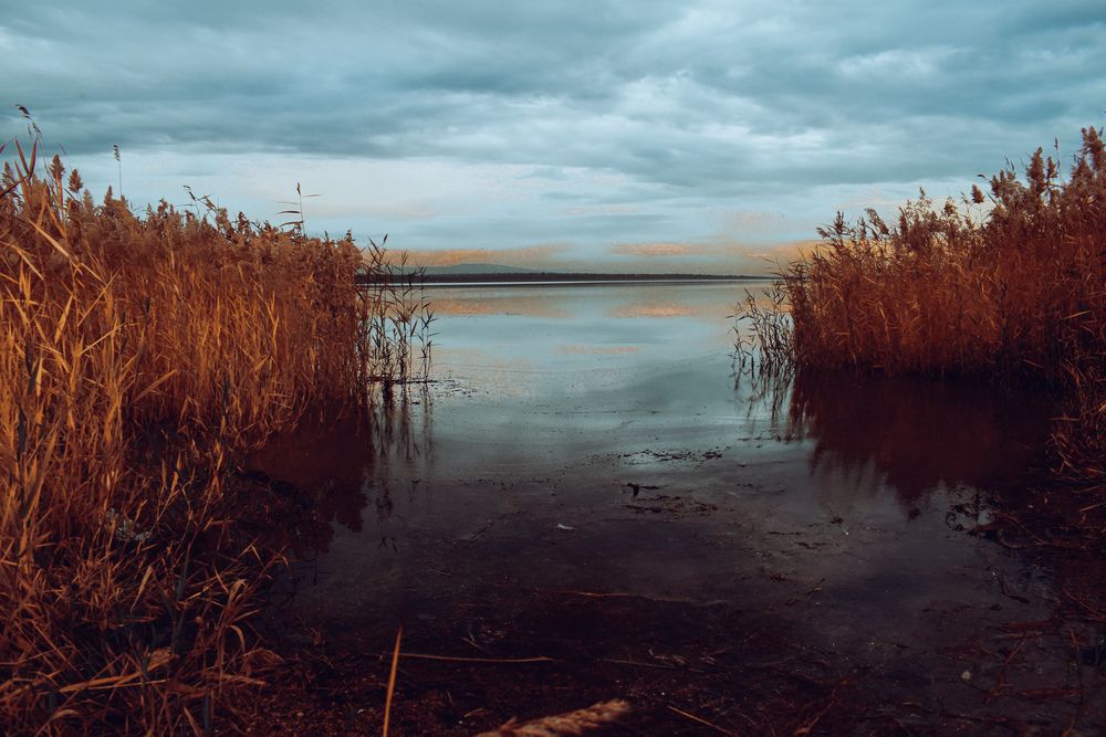 Photograph by Юлия Климова