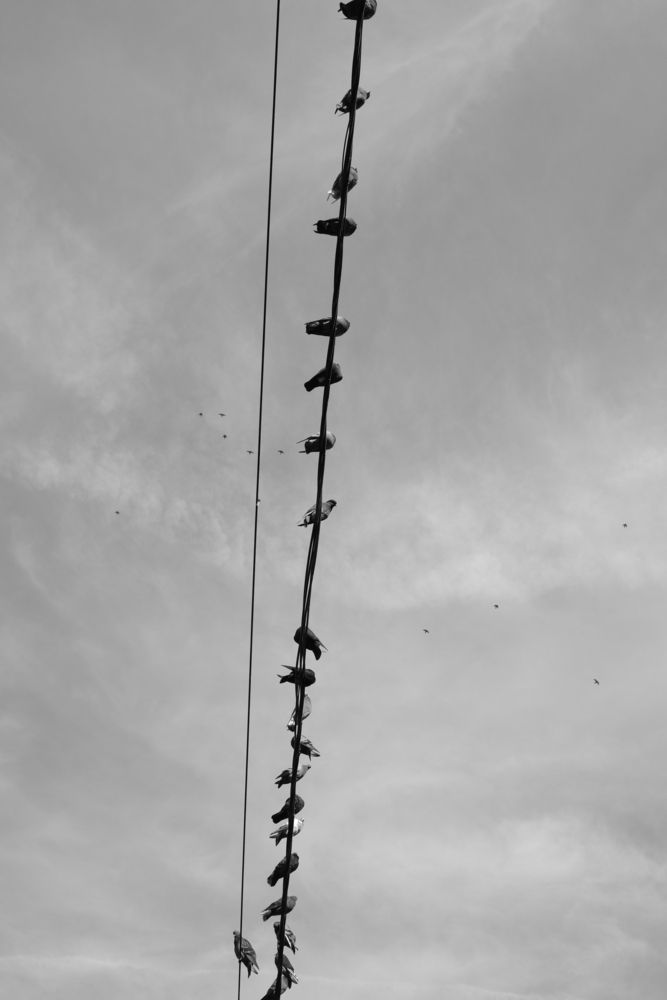 Photograph by Andrej Nihil