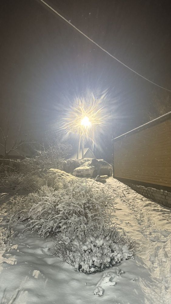 Photograph by Елена Гущина