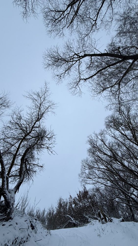 Photograph by Елена Гущина