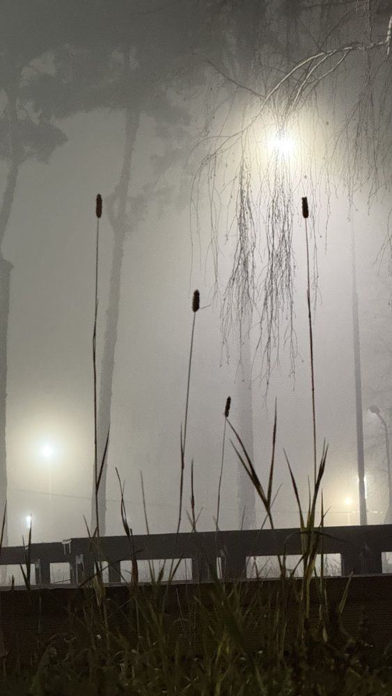 Photograph by Елена Гущина