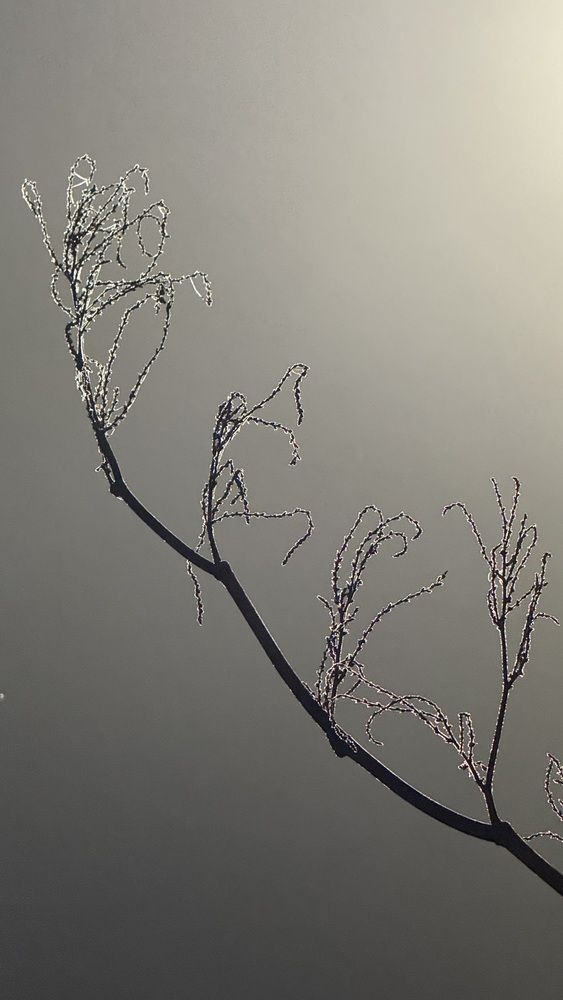 Photograph by Елена Гущина