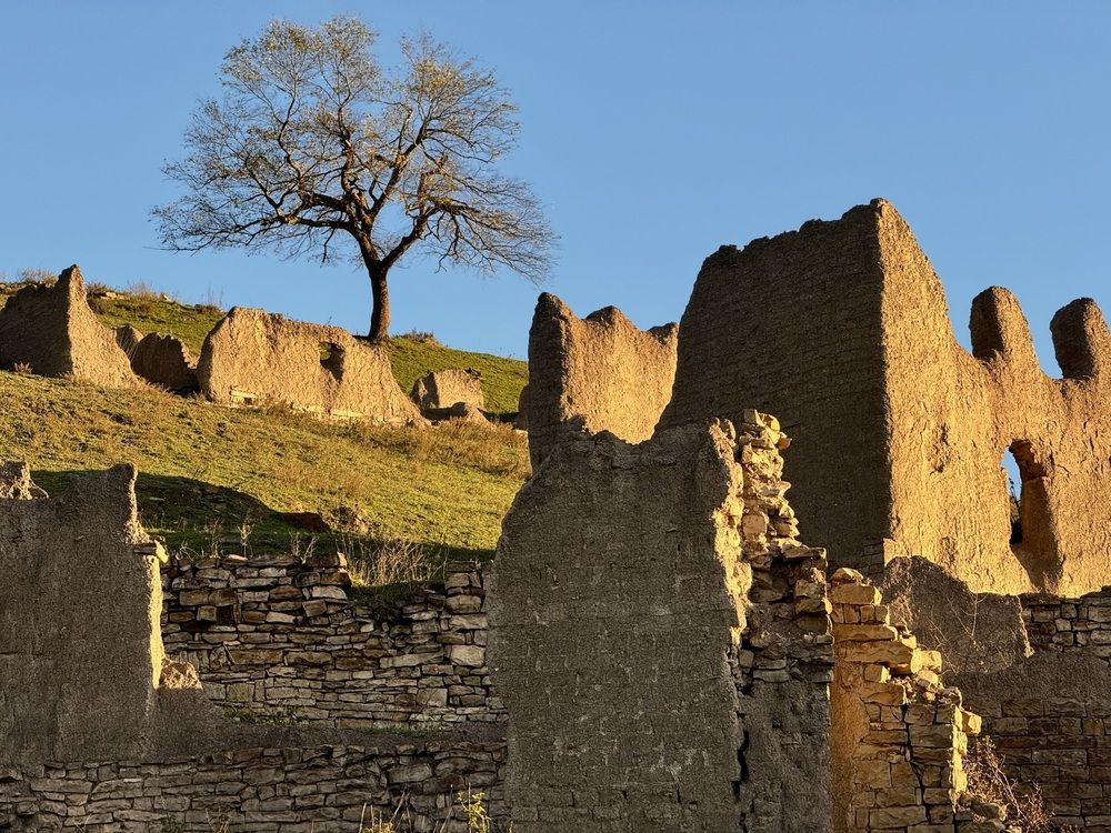 Одиночество