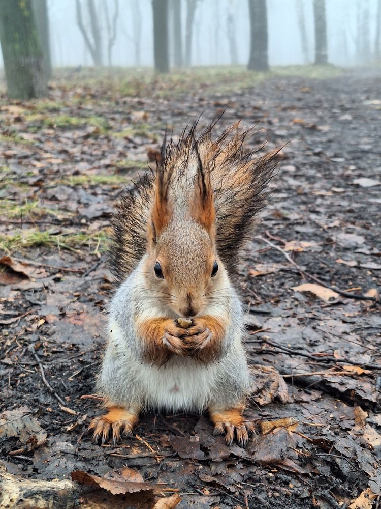 Photograph by Ирина