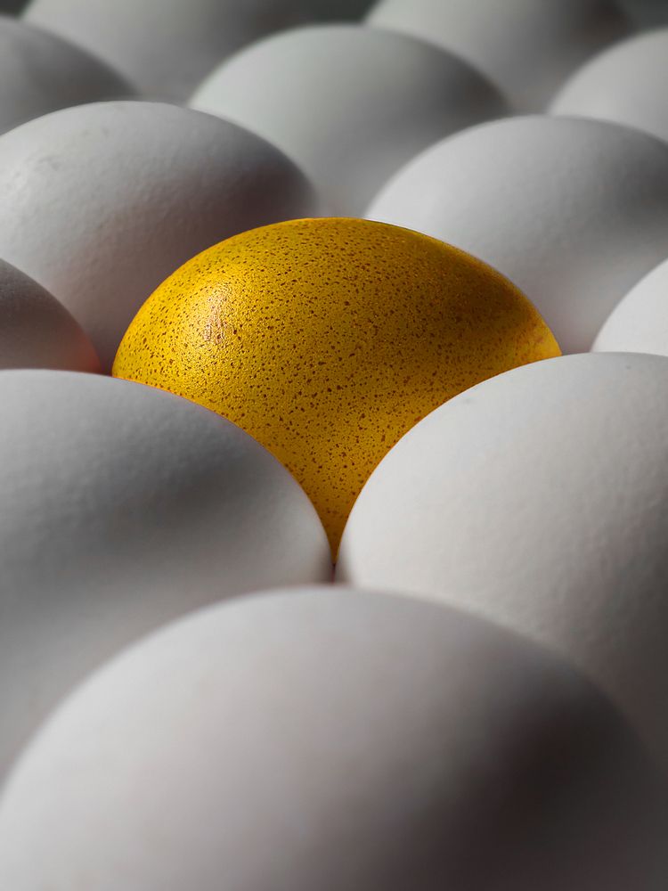 Photograph by Старк Ярослав